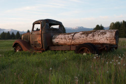 Gustavus, Alaska Better Days