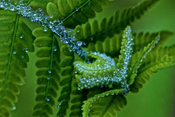 Northeast Harbor, ME