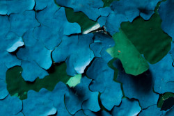 Carrie Blast Furnaces, Rankin, PA